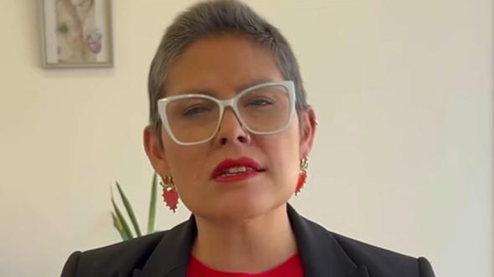Director (s) de SernamEG y yerno de ministra Rincón, desvincula al equipo completo de actual directora con licencia oncológica