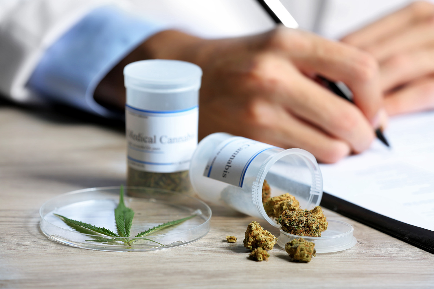 Fiscalía pide 8 años de cárcel: Paciente usuario de cannabis medicinal por dolor crónico fue condenado por tráfico