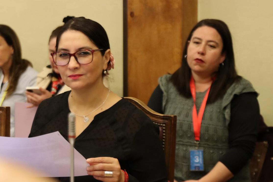 Diputada Castillo pide explicaciones al Gobierno de Kast: Alerta ambiental en Andacollo por nube tóxica