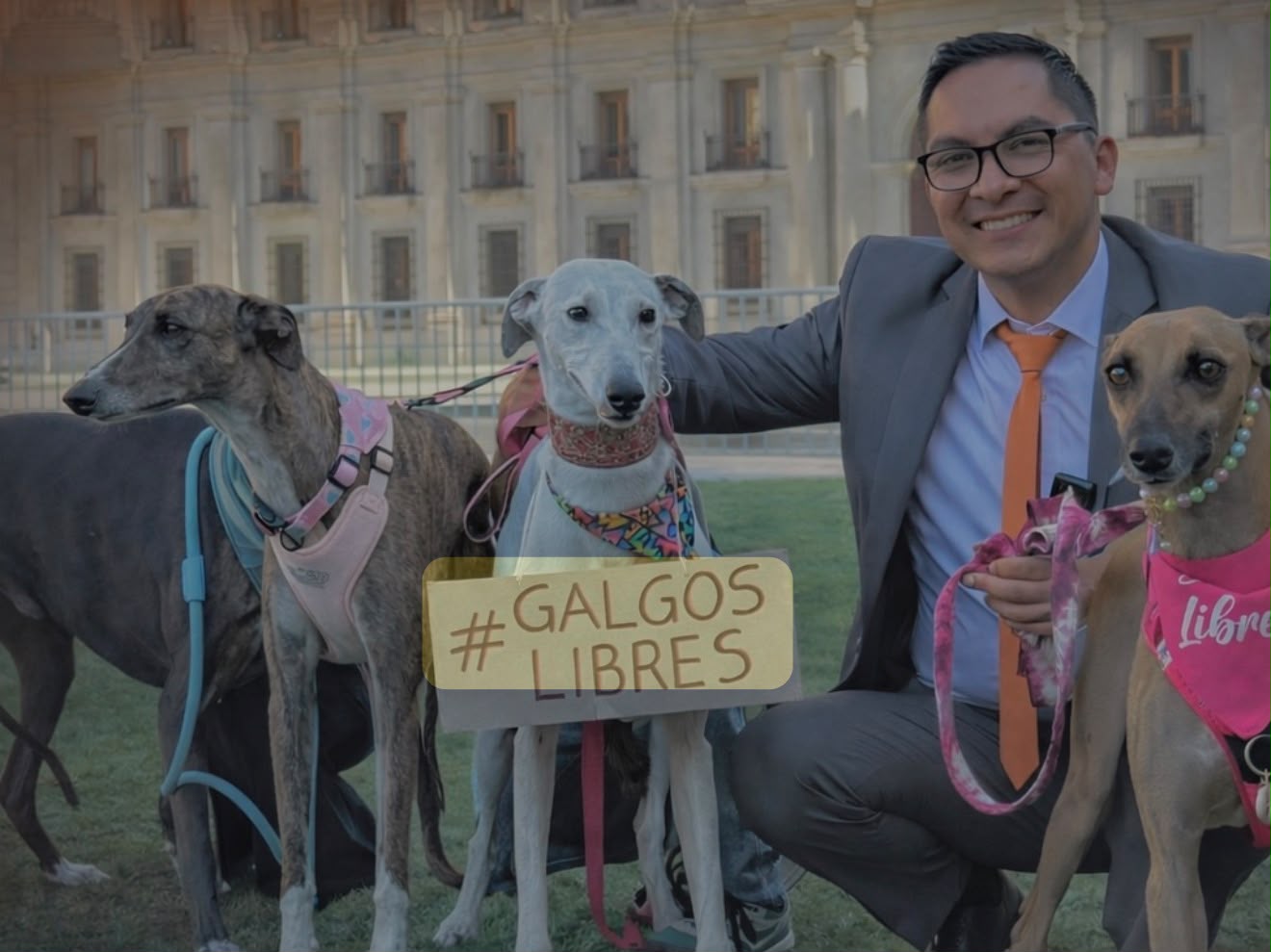 Denuncian amenazas contra diputado Videla antes de la votación del proyecto sobre carreras de galgos