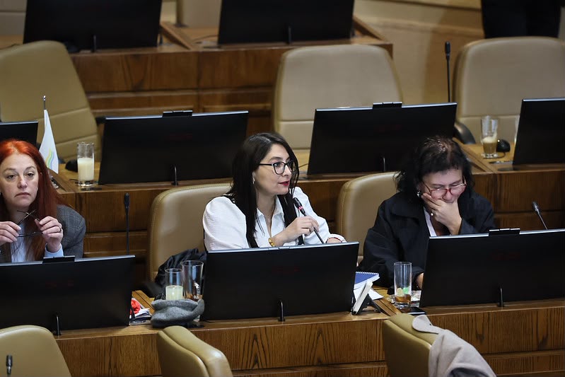 Diputada Castillo oficia y responsabiliza al Gobierno de Kast por deportación de niñas chilenas bajo custodia del ICE