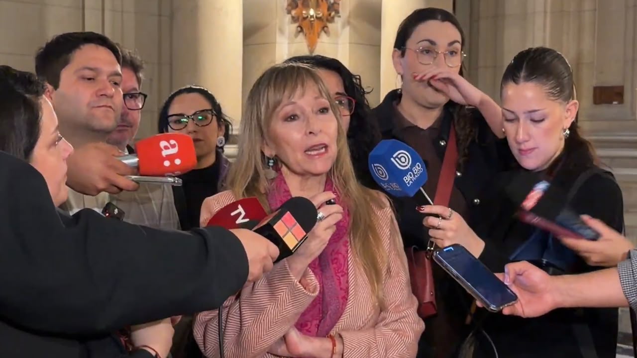 Diputada Gazmuri celebra rechazo del TC a impugnación del Gobierno de Kast sobre reconexión de servicios básicos
