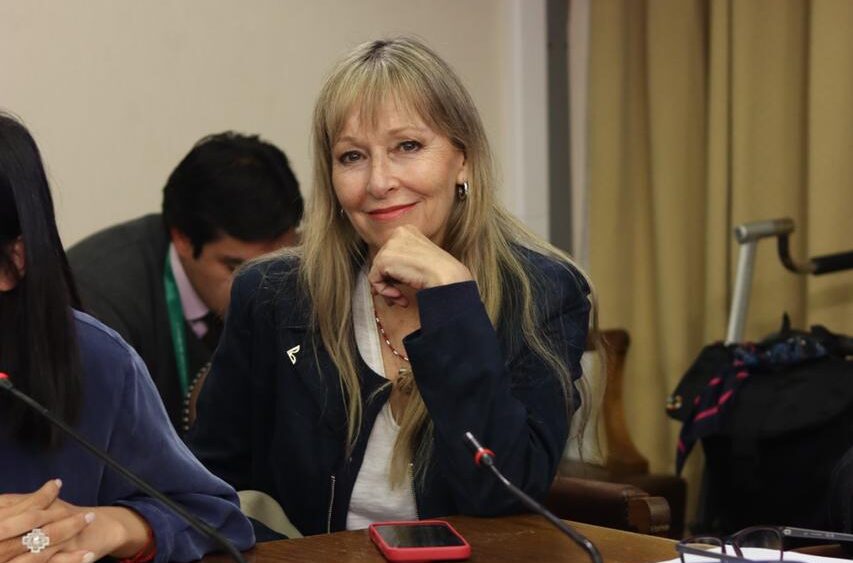 Pidió transparentar quién la financió: Diputada Gazmuri cuestiona visita de parlamentarios chilenos a Israel