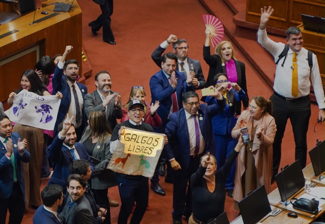 Descuentan sueldo a diputado Videla por defender proyecto de ley que busca prohibir las carreras de perros galgos