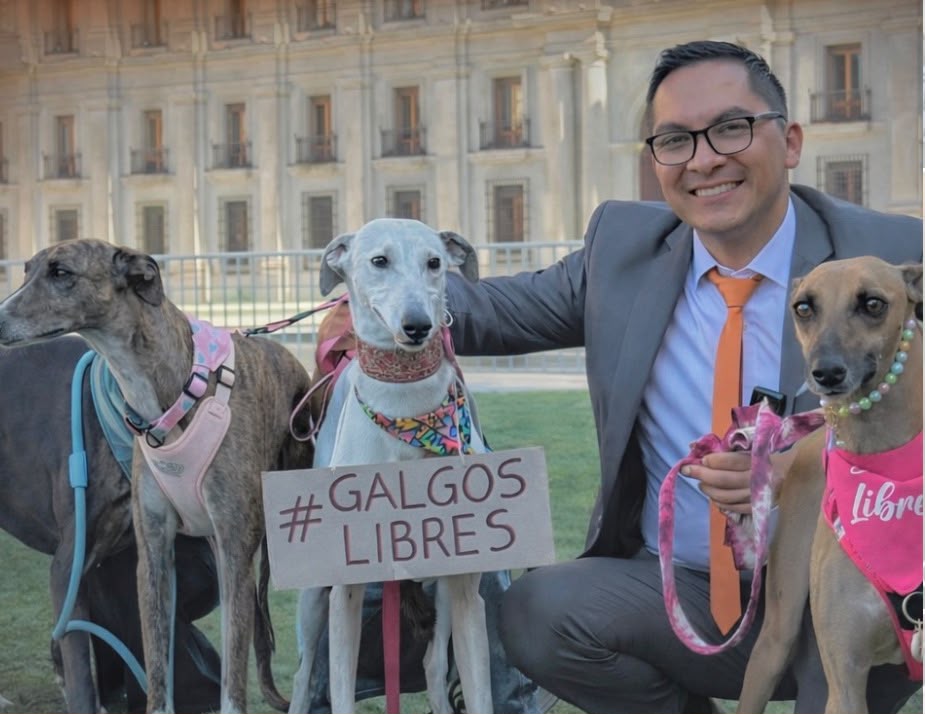 “Basta de maniobras, que se respete la democracia”: Diputado Videla exige que se vote la prohibición de las carreras de galgos para que pase al Senado